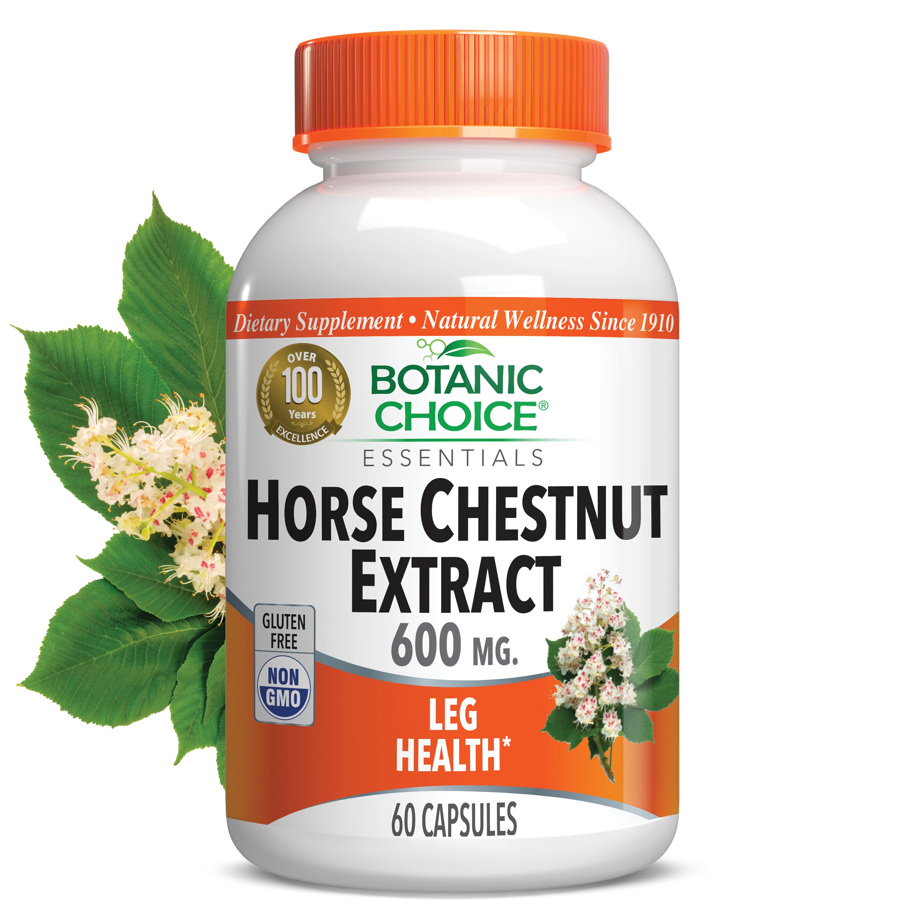 Horse Chestnut Extract 600 mg - 60 Capsules