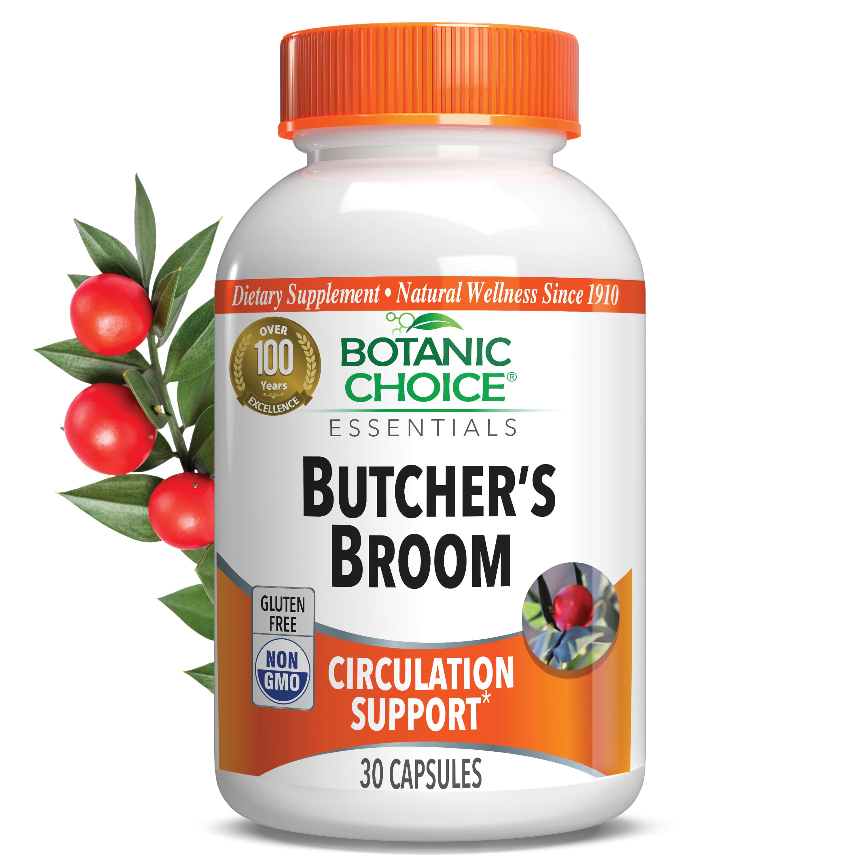 Butcher's Broom Extract 110 mg - Circulation Support Supplement - 30 Capsules