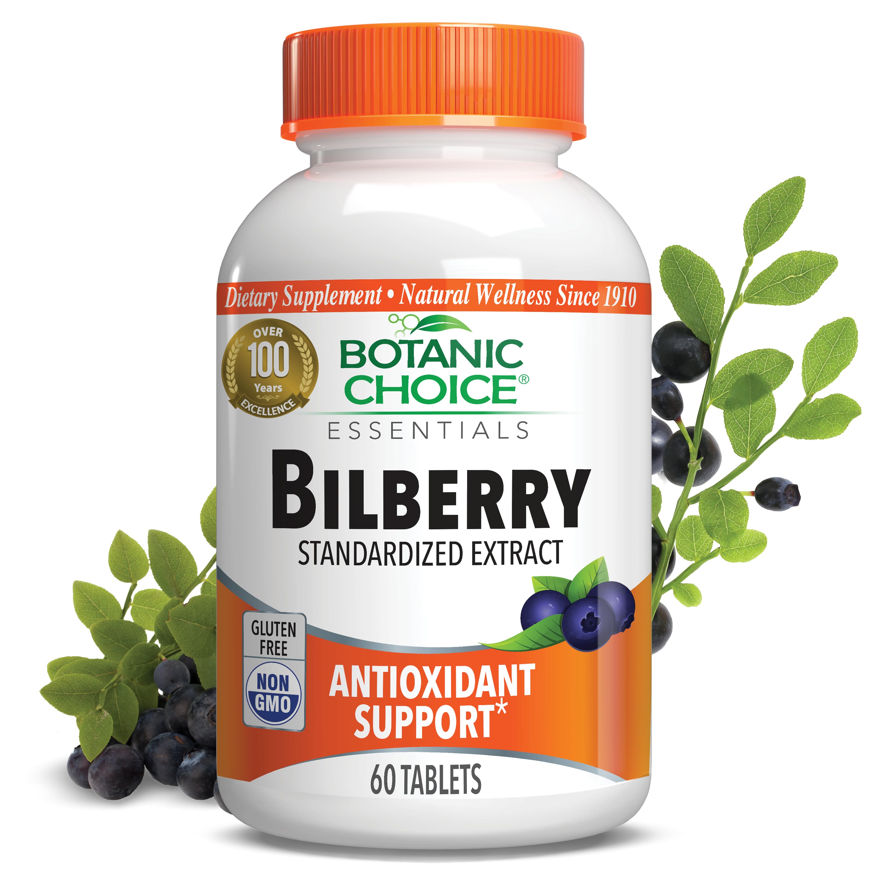 Bilberry Extract Standardized for 10% - Vision Support Supplement - 60 Tablets