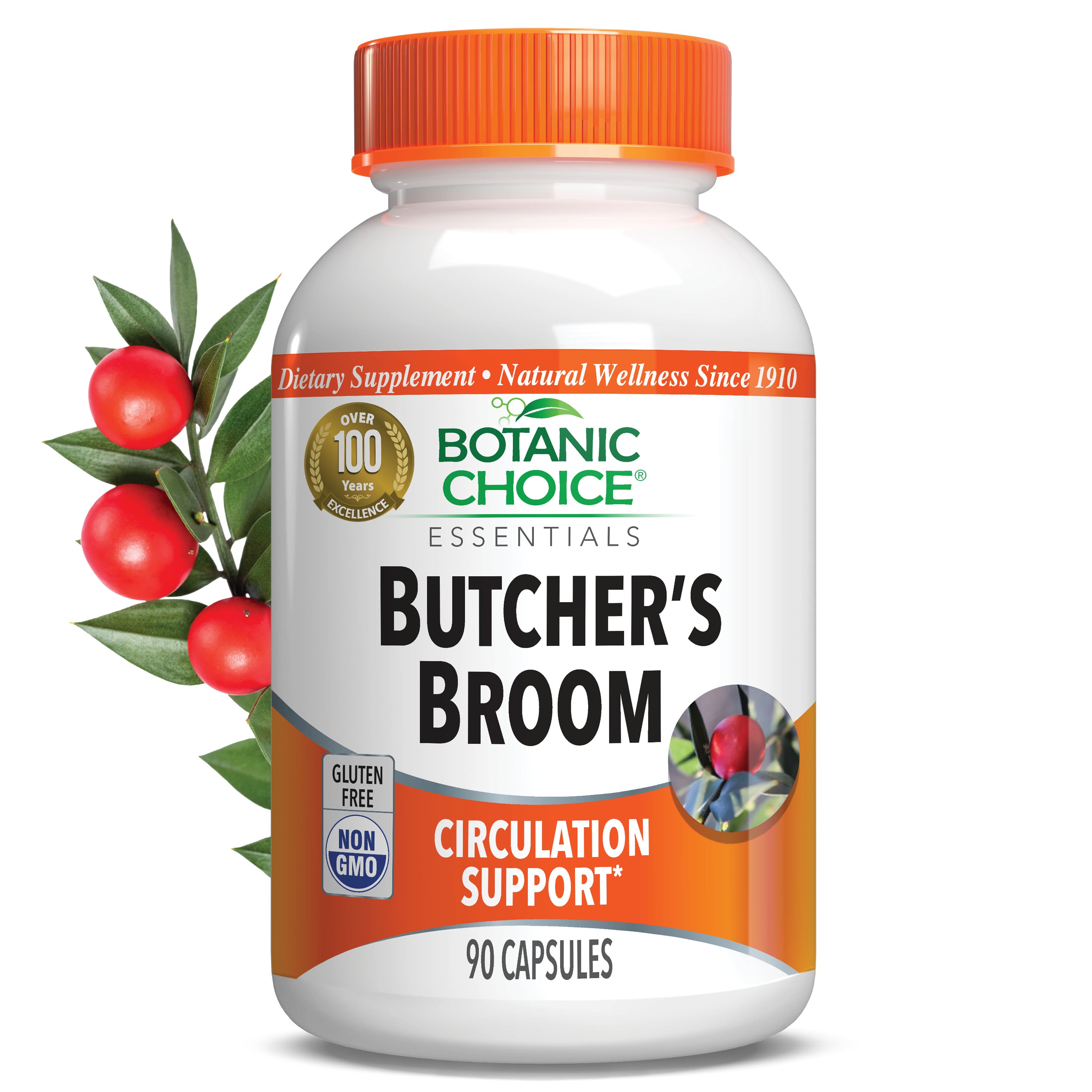Butcher's Broom Extract 110 mg - Circulation Support Supplement - 90 Capsules