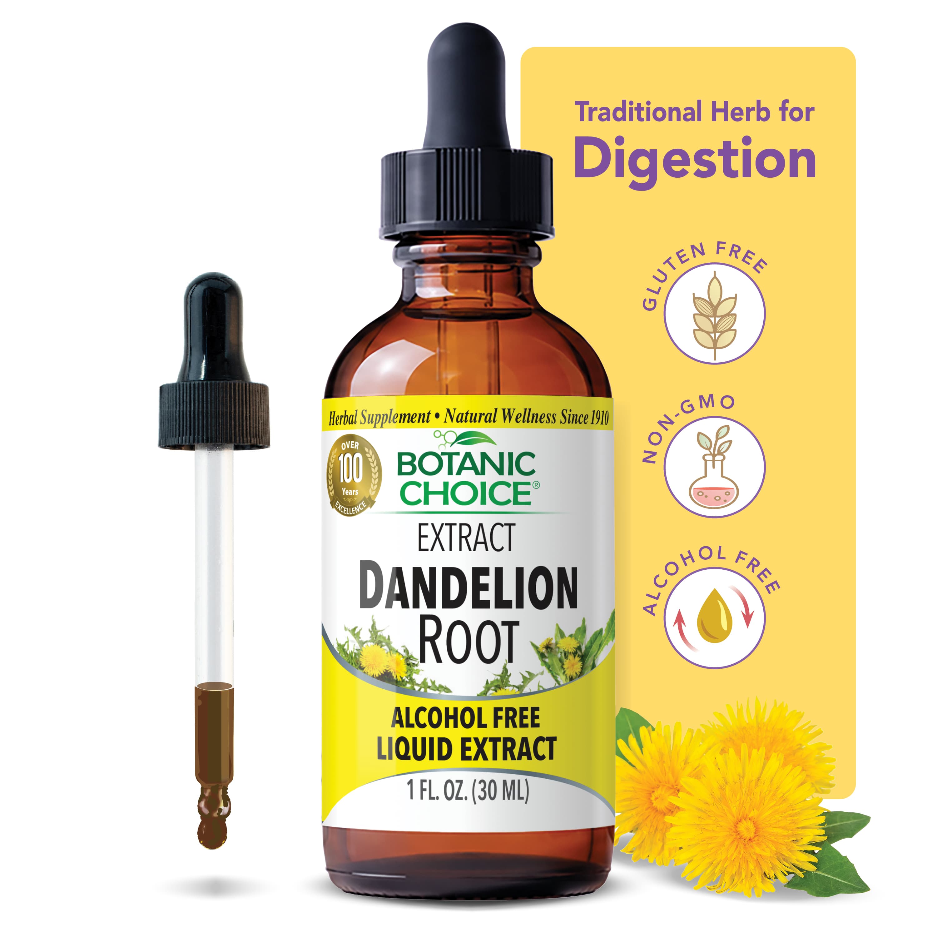 Dandelion Root Liquid Extract - Digestive Support Supplement - 1 Oz
