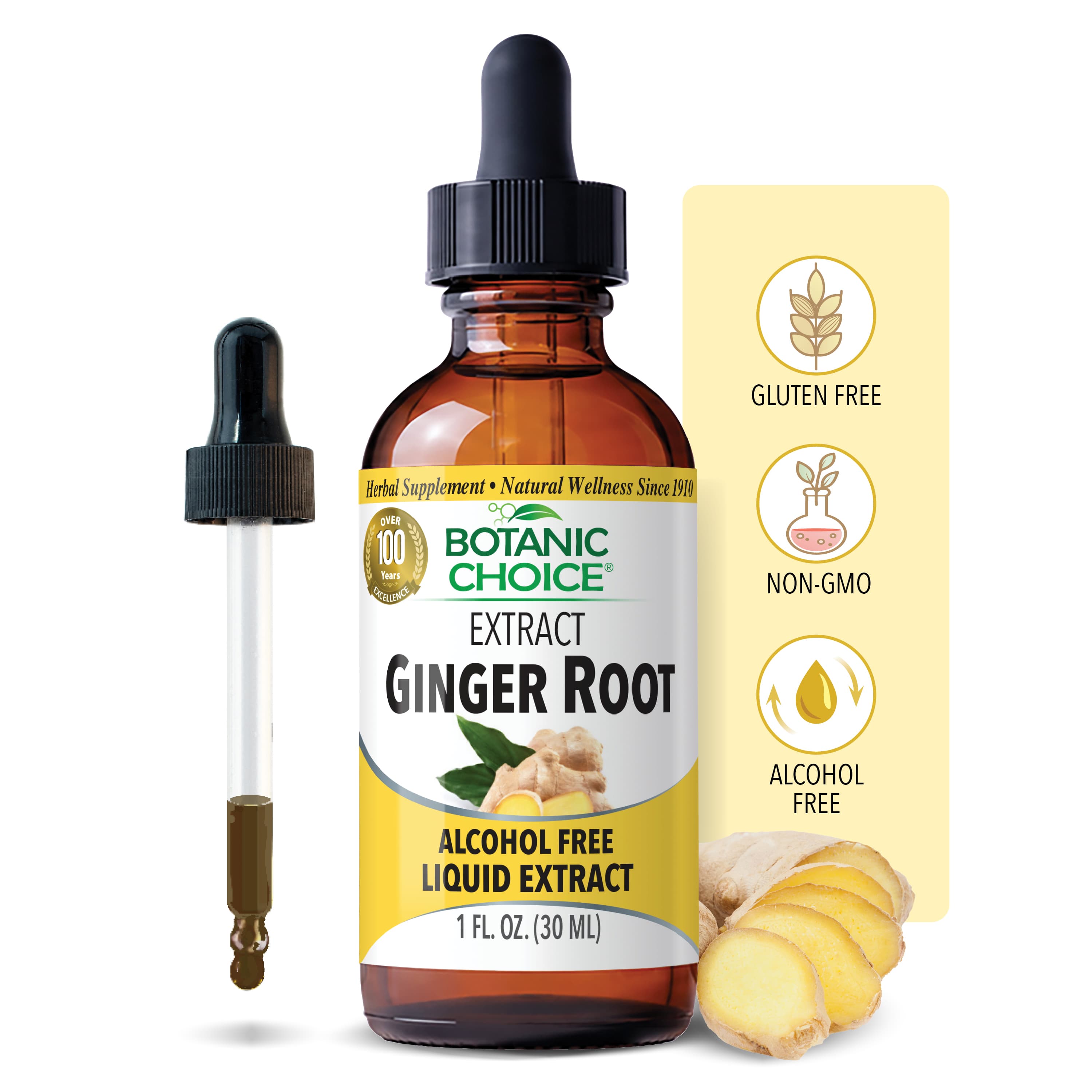 Ginger Root Liquid Extract - General Health Support - 1 Oz